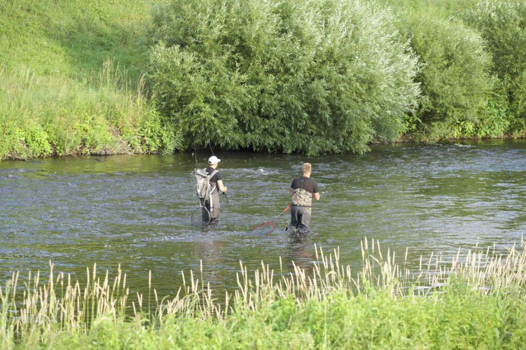 Zwei Angler im Fließgewässer beim Angeln in Thüringen