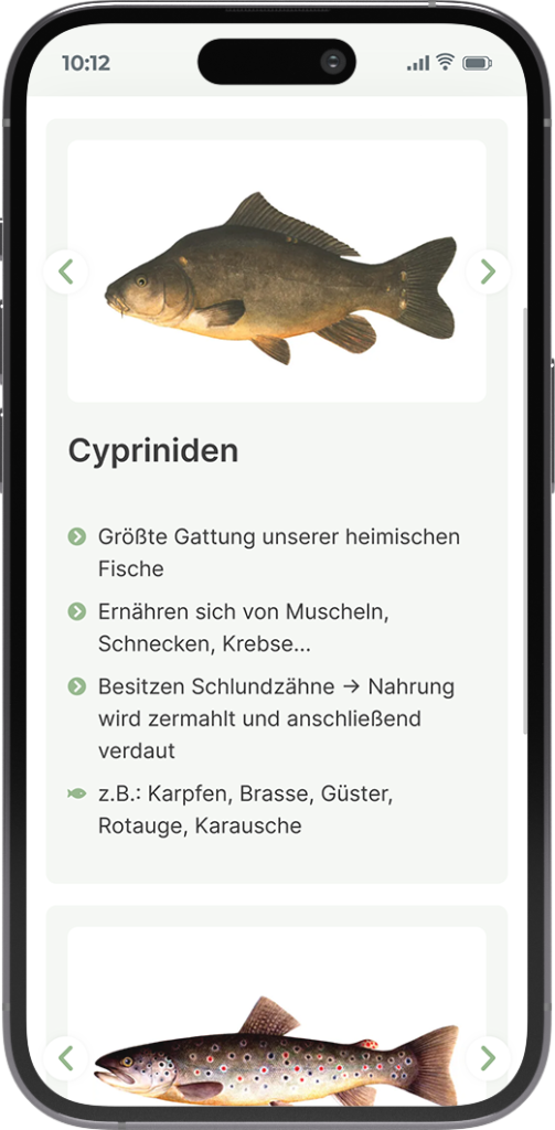 Fischbilder zum Lernen der zahlreichen Fischarten