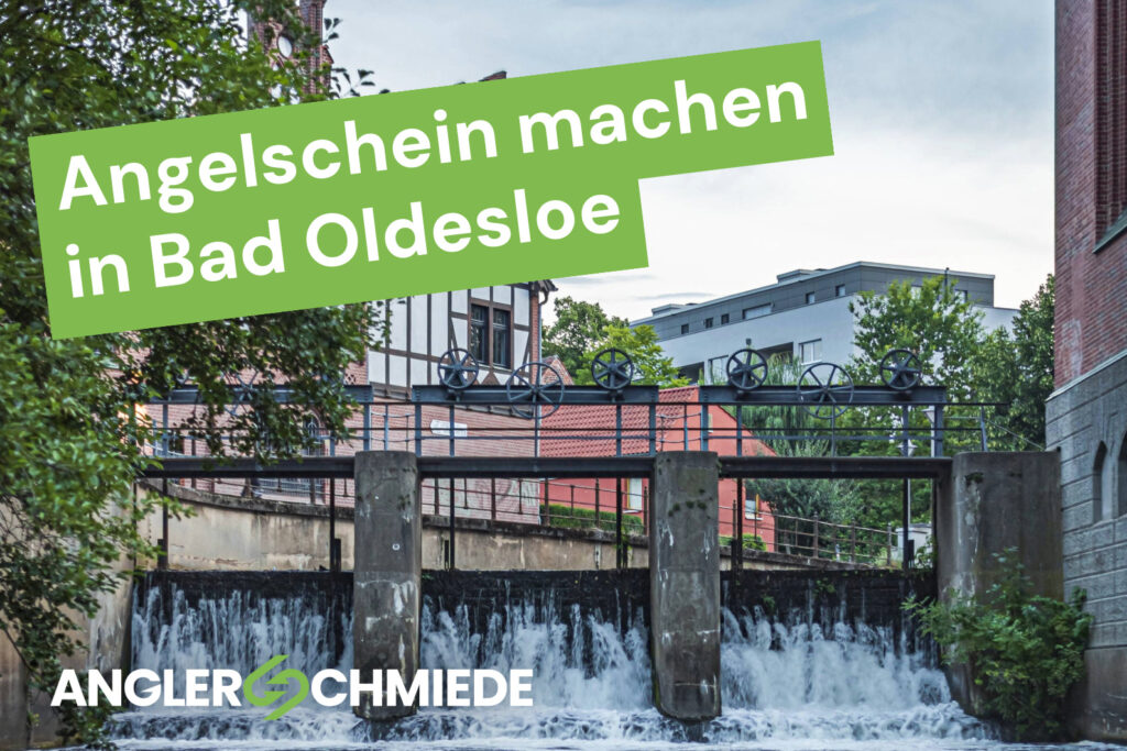 Angelschein machen in Bad Oldesloe