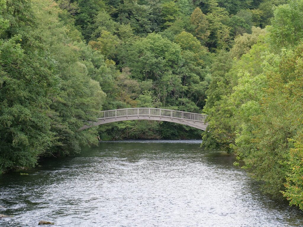 Angelschein machen in Düren