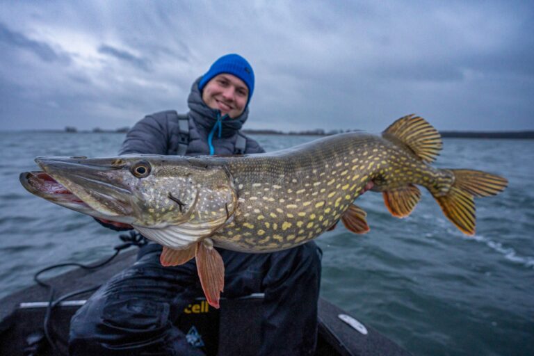 Ein Angler posiert mit einem großen Hecht in der Hand auf einem Angelboot.