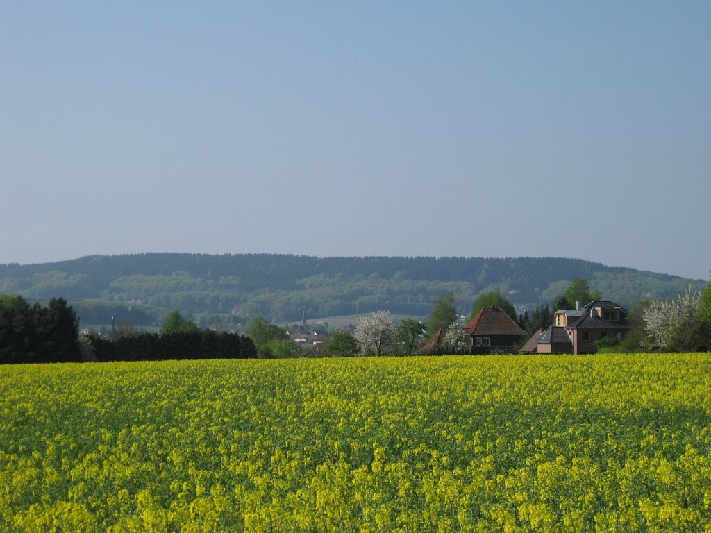 Angelschein machen in Gütersloh