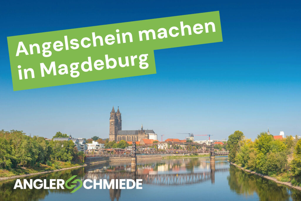 Angelschein machen in Magdeburg