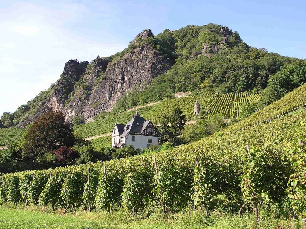 Angelschein machen im Rhein-Sieg-Kreis