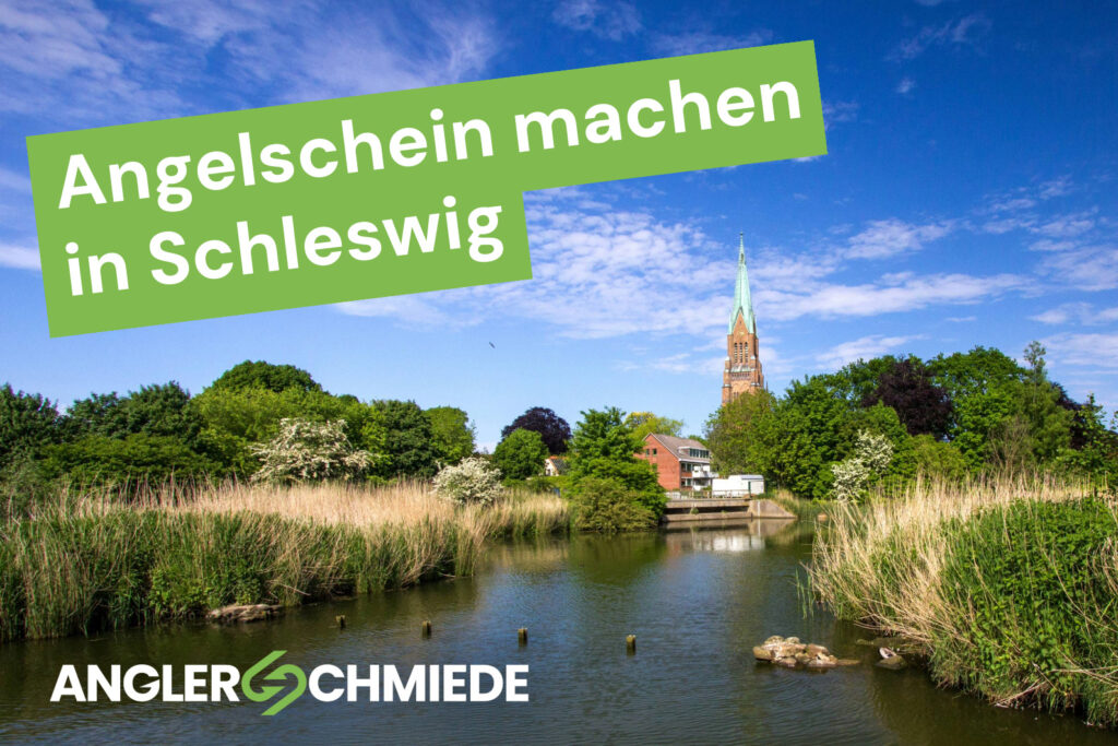 Angelschein machen in Schleswig