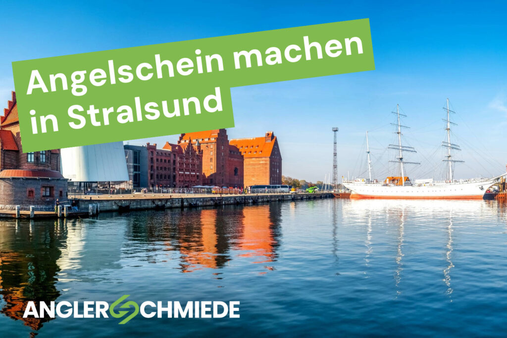 Angelschein machen in Stralsund