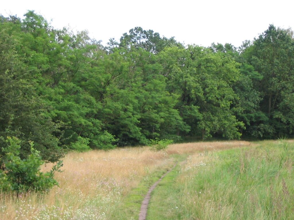 Angelschein machen in Teltow-Fläming