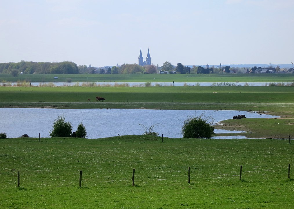 Angelschein machen in Wesel