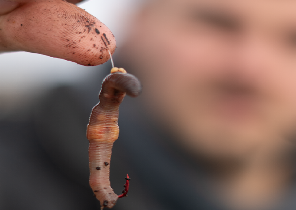 Wurmhaken