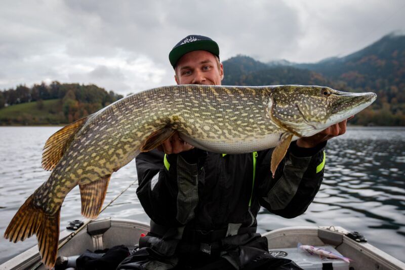 Hechtangeln - so funktioniert das Angeln auf Hecht - Anglerschmiede.de
